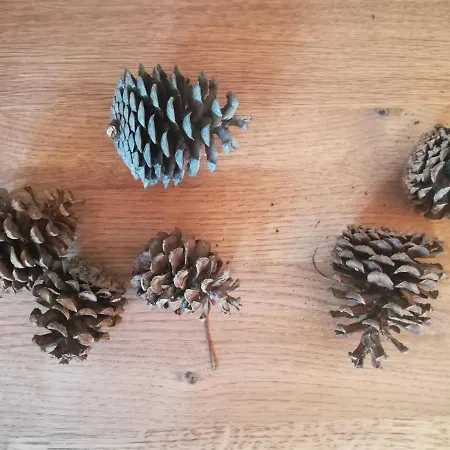 Huber - Das Tiroler B&B Oberperfuss