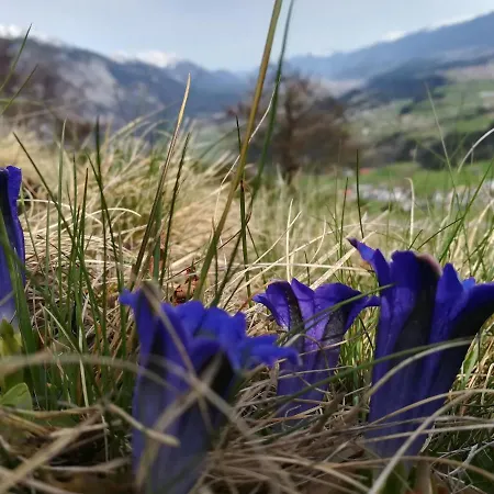 Oda ve Kahvaltı Huber - Das Tiroler B&B 3*